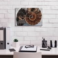 thumbnail image 3 of Epic Graffiti 'Ammonite Spiral' by Elena Ray, Canvas Wall Art, 18"x12", 3 of 8