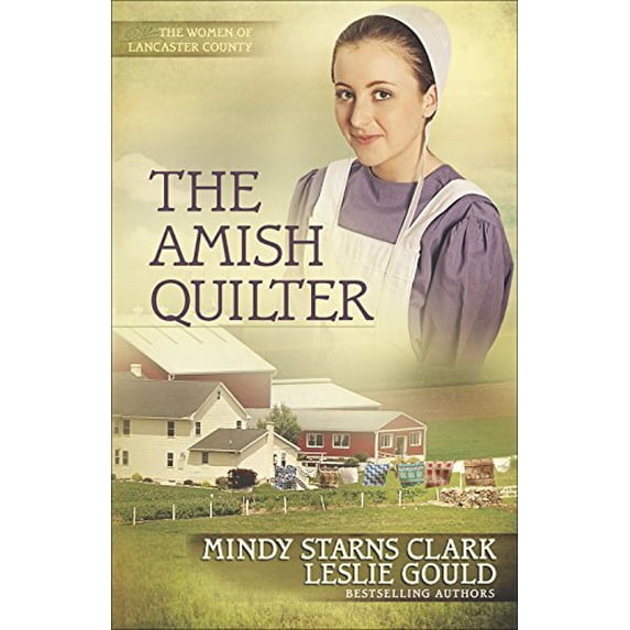 Pre-Owned The Amish Quilter: Volume 5 (Paperback) 0736962948 9780736962940