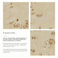 thumbnail image 4 of Modway Elysian 48" Wood Bathroom Vanity Cabinet (Sink Basin Not Included) in Burl, 4 of 10