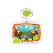 Bright Starts - Safari Adventures Musical Soother - RC