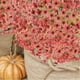 thumbnail image 5 of onlyliua para Interior/Exterior 10 Piezas de Flores Artificiales Reales para Boda, Ramo de Novia, Decoración Del Hogar, 5 of 7