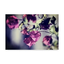 Trademark Fine Art 'Purple Macro' Canvas Art by Incredi