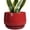 Red, variant on Ordivic 5 Inch Red Ceramic Planter with Drainage Hole and Saucer – Round Flower Pot for Indoor Plants, Modern Home Decor