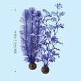 thumbnail image 4 of biOrb Medium Purple Kelp Plant Set, 4 of 7