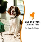 Nature’s Miracle Oxy Formula Set-In Stain Destroyer for Dogs, Orange Scent, 1 gal
