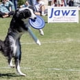 thumbnail image 5 of Hyperflite K-10 Jawz Puncture Resistant Dog Flying Disc, 8.75-inch, for Large Dogs, 5 of 7