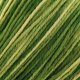thumbnail image 2 of Hilo Sashiko 100 m Verde Oliva Jaspeado de Algodón, 2 of 2