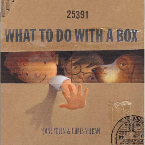 Pre-Owned What to Do with a Box (Board book) 1568463200 9781568463209