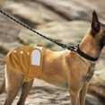 thumbnail image 2 of Diapers for Female Dogs, Strong Absorbent Reusable Dog Period Diapers., 2 of 5