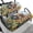 Dachshunds in Floral Meadow, variant on Pzuqiu Golf Cart Seat Covers Lightweight, Compatible with Golf Carts Outdoor, Golf Cart Seat Cover Sets Fit for Ezgo Most Club Cars Golf Carts, Flowers Pattern