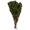 Oasis Green, variant on Vickerman 18-24" Spring Green Platys Foliage, Comes in a 5 oz Bundle, Preserved