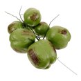 thumbnail image 1 of 1 Bunch Artificial Lifelike Coconuts Fake Fruit Model for Jungle Hawaiian Luau Wedding Party Decoration, 1 of 8