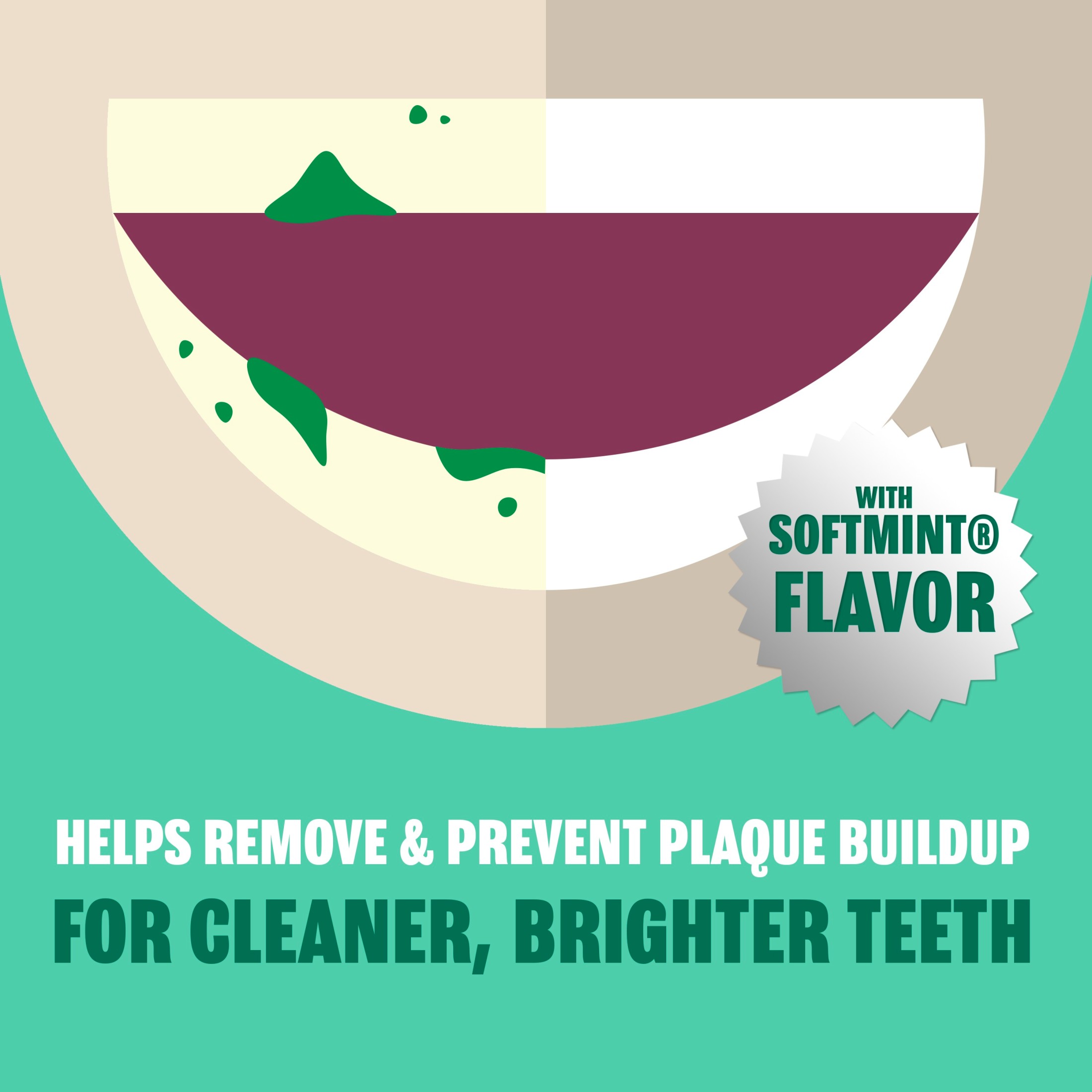 Plax Oral Rinse Mouthwash, Refreshing Soft Mint Flavor, 24 fl. oz - image 2 of 7