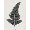 thumbnail image 2 of Jill, Susan 12x14 White Modern Wood Framed Museum Art Print Titled - Forest Fern I, 2 of 4