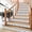 WHITE, variant on 20-Pack 7.9x7.9 Inch Self-Adhesive PVC Floor Tiles Waterproof Non-Slip Peel and Stick Flooring Easy DIY for Bedroom Kitchen Living Room Covers 4.3 Sq Ft