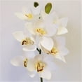 thumbnail image 1 of 26" White Cymbidium Orchid Stem Artificial Flowers, 1 of 1