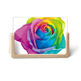 thumbnail image 1 of Rainbow Flower LGBT Photo Cadre Photo en Bois Présentoir de Table, 1 of 3