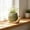 L:3.66in H:2.67in Basin rim:1.57in, variant on Mini Snails Ceramic Flowerpot Set | 1-Piece Small Succulents Planter with Drainage Hole | Cute Desktop Plants Pot Decor for Indoor Home Office Shelf