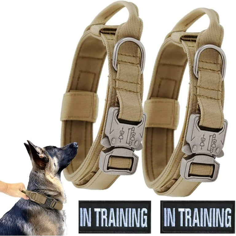 Velcro top dog collar