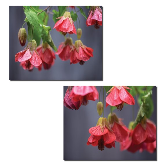 Chinese Lantern | Beautiful Red Hanging Flowers; Floral Decor; Two 14x11in Poster Prints