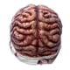 thumbnail image 5 of Injueey Máscara de látex con calavera 3D para disfraz, accesorios de terror para Halloween, fiestas, fotos para adultos Cubiertas para muebles de jardín guante, 5 of 6