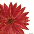 thumbnail image 3 of Vess, June Erica 12x12 Black Modern Framed Museum Art Print Titled - Bright Blossoms II, 3 of 5