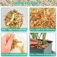 thumbnail image 6 of ZeeDix 1.1LBS Premium Sphagnum Moss for Plants, 25QT Natural Long Fibered Orchid Moss Sphagnum Peat Moss Bulk for Carnivorous,Orchid,Sarracenia,Succulent,Venus Fly Traps and Reptiles, 6 of 8