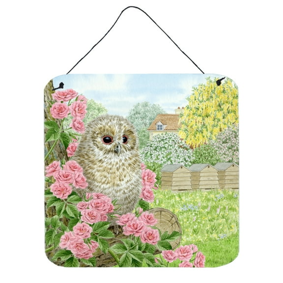 Tawny Owlet by Sarah Adams Wall or Door Hanging Prints