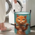 Cauagu Strong Kitten Lifting Weights for Laundry Basket,Collapsible