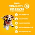 thumbnail image 3 of IAMS Proactive Health Dry Dog Food, Premium Dog Food Dry Recipe, 15 lb. Bag (Pack of 2), 3 of 10