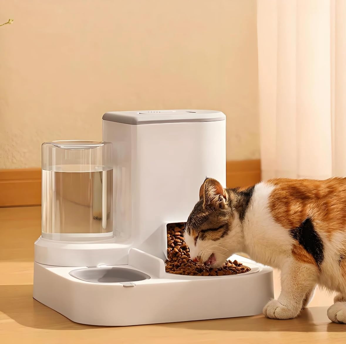 CNV 2 in 1 Automatic pet Feeder and Water Dispender for Cats and Dogs 3 Colors to Choise, Blue, with Ceramic Bowl