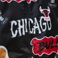 thumbnail image 4 of Mitchell & Ness Veste Réversible avec Autocollants Slap Chicago Bulls, 4 of 4