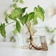 Vase en Verre Suspendu Créatif pour les Plantes Hydroponiques Cadeau de Décoration de Bureau à Domicile – image 2 sur 7