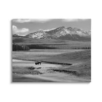 Stupell Industries Bison in Mountain Scene Landscape Photography Gallery Wrapped Canvas Art Print Wall Art, 48 x 36