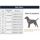 thumbnail image 1 of Collar de nailon sin tirones para perros con rayas reflectantes HUOGUO, 1 of 4