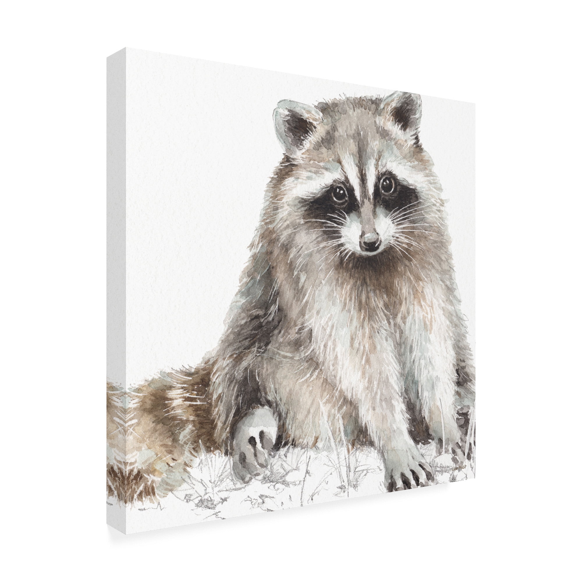 Trademark Fine Art 'Forest Friends IV Soft Shade' Canvas Art by Lisa Audit
