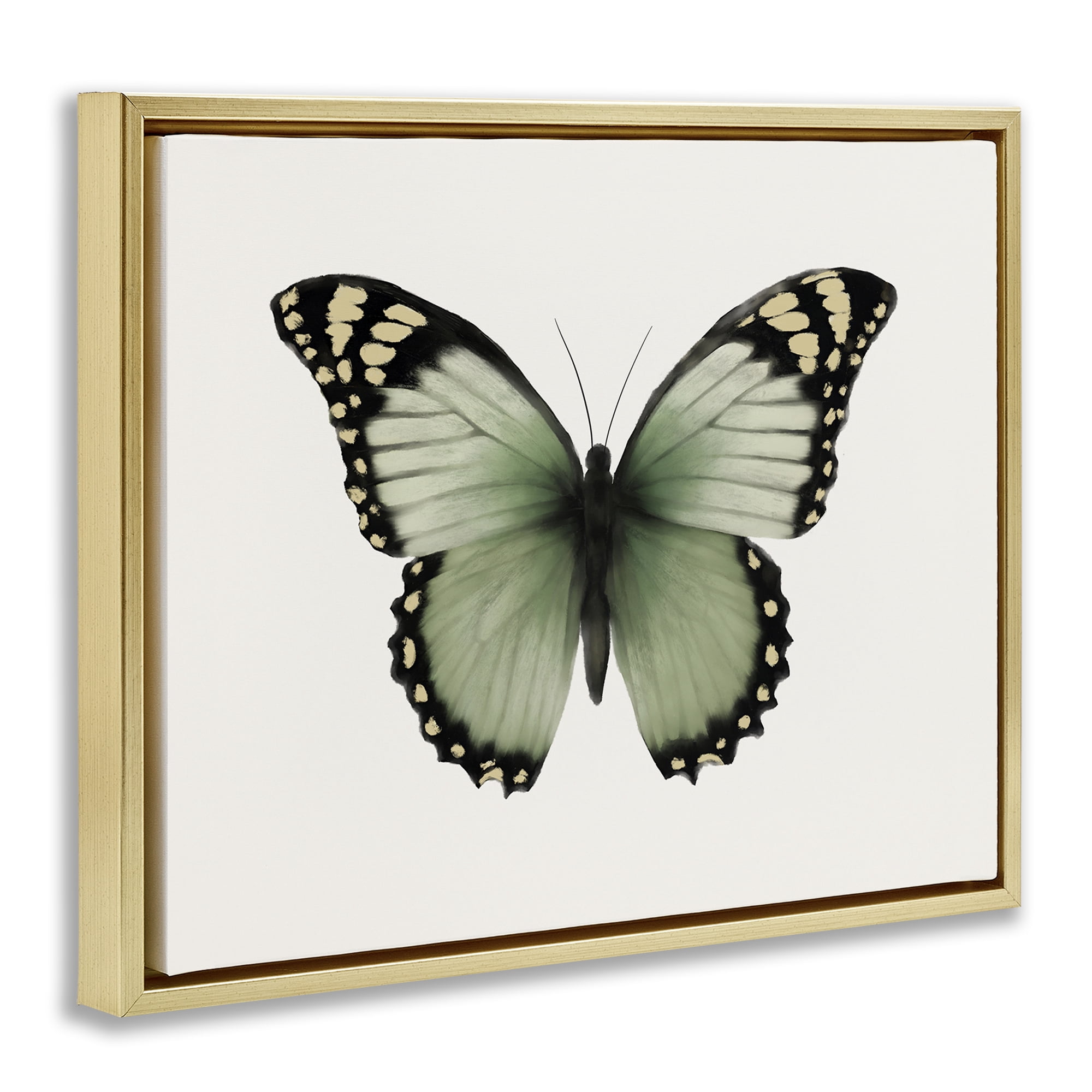 Stupell Industries Green Symmetrical Butterfly Animals Painting Gold Floater Framed Canvas Art Print Wall Art, 21 x 17