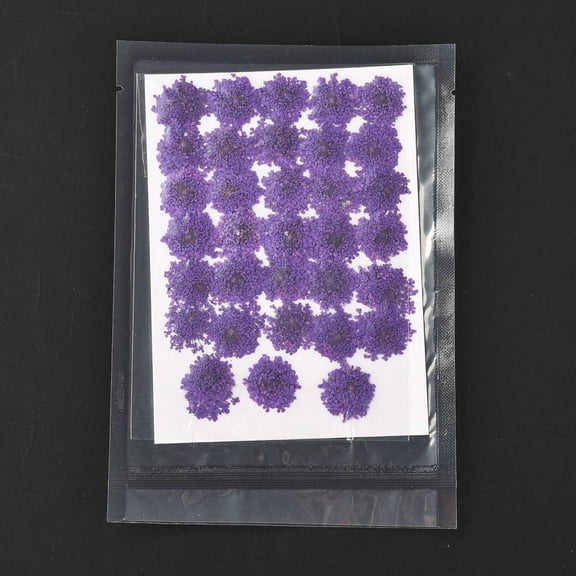 1 bag Pressed Dried Flowers for Cellphone Photo Frame Scrapbooking DIY Handmade Craft Dark Violet 15~20x13~19mm 100pcs/bag