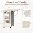 thumbnail image 3 of IRONCK 31.5" Rolling Kitchen Island Cart with Drop Leaf, Drawer, Adjustable Storage Cabinet, Spice Rack and Towel Holder, 3 of 8