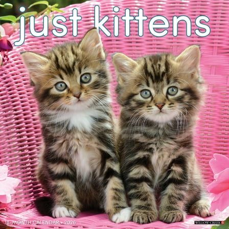 Kittens 2026 Wall Calendar