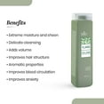 thumbnail image 3 of Silky TECHNOBASIC Ylang Feel Good Shampoo 250 ml | Hydration, Nourishment, Volume, Firmness | Vegan, Cruelty Free | Ylang Ylang essential oil, Eucalyptus leaves oil, Amino acids | All Hair Types, 3 of 5