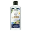 Herbal Essences Bio:Renew Refresh Shampoo, Blue Ginger, 13.5 oz