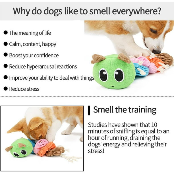 Dog hot sale caterpillar toy