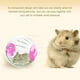 thumbnail image 5 of Nueva linda bola para correr para hámster, bola de cristal para hámster de 12 cm, pequeña rueda deportiva silenciosa, accesorios para jaula de animales pequeños, bola de juguete para mascotas, bola p, 5 of 5