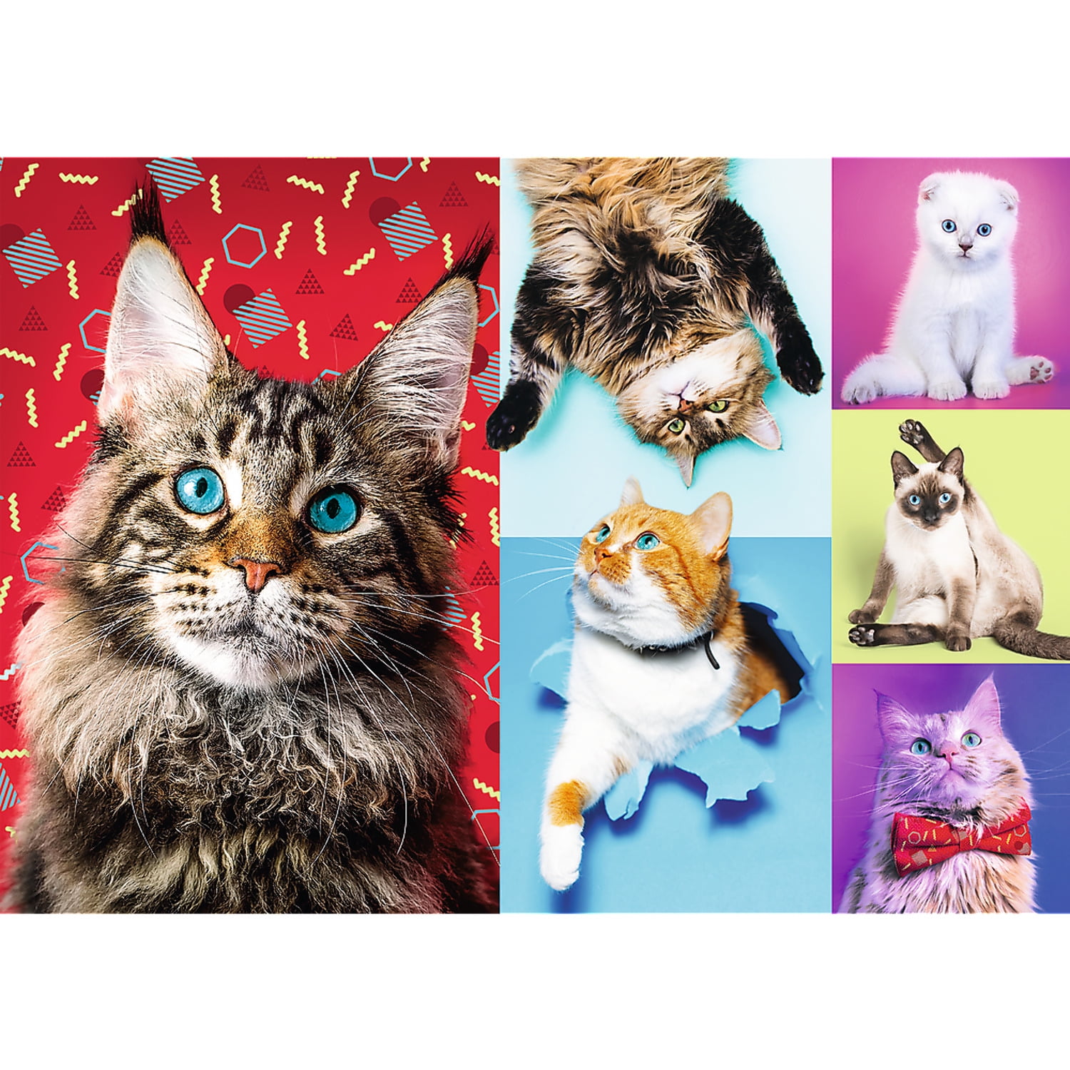 100pc Family Cat - Walmart.com