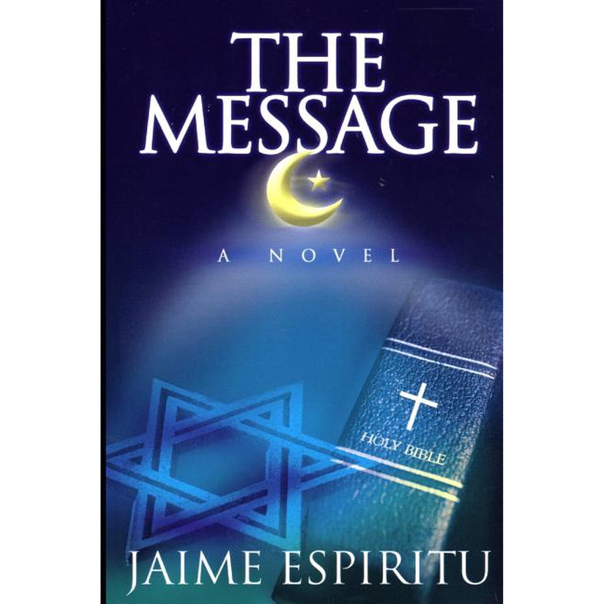 The Message a Novel (Paperback)