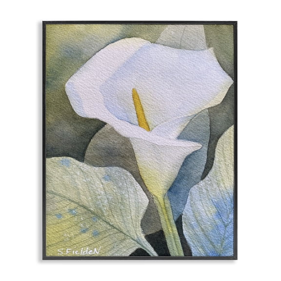 Stupell Industries Cottage Garden Calla Lily Bloom Black Framed Giclee Art, 11 x 14, by Stephanie Fielden
