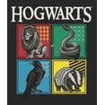 thumbnail image 7 of Harry Potter Hogwarts House Emblems Men's Black Graphic Tee-4XL, 7 of 7