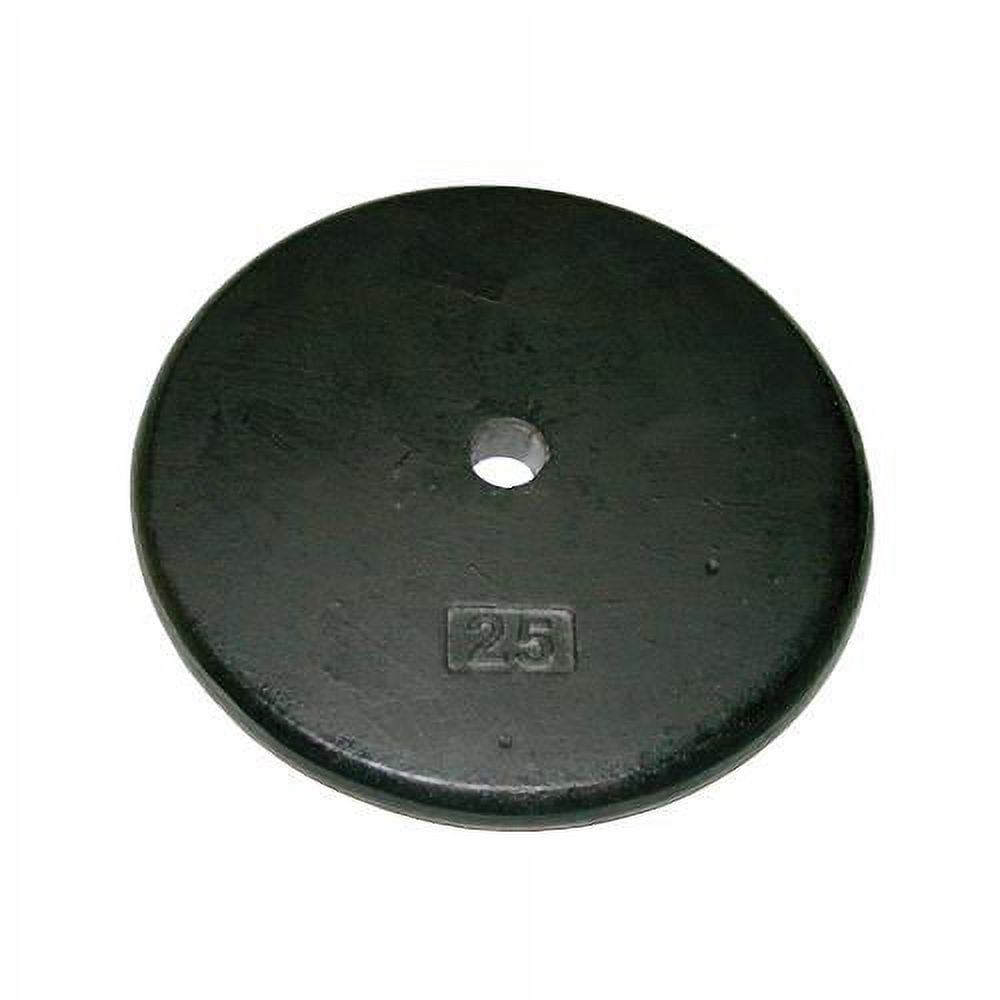 CanDo Iron Disc Weight Plate for Home Gym and Professional Use.