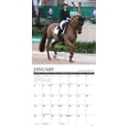 thumbnail image 3 of Dressage 2025 12 X 12 Wall Calendar, (Paperback), 3 of 5